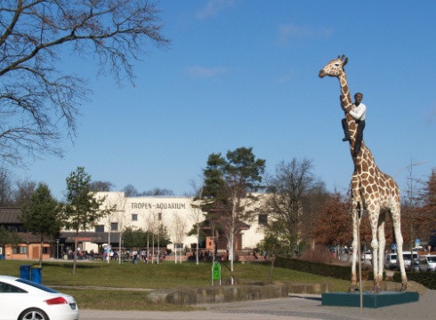 Mann auf Giraffe mit neuem Hagenbeck Haupteingang